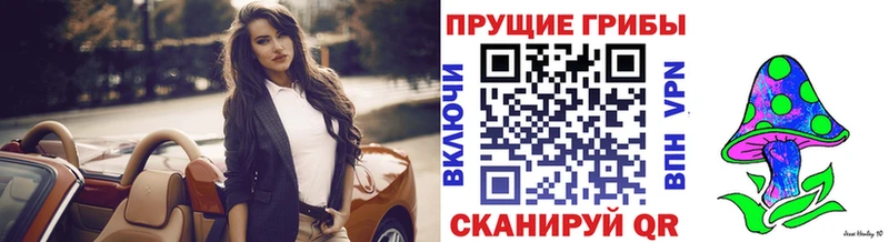 Галлюциногенные грибы GOLDEN TEACHER  купить наркоту  Шарыпово 