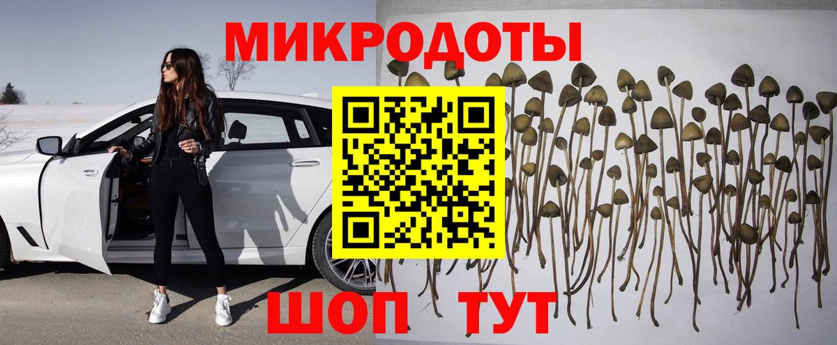 Шарыпово  Псилоцибиновые грибы MAGIC MUSHROOMS  наркотики  Галлюциногенные грибы Psilocybe  Вход с VPN 