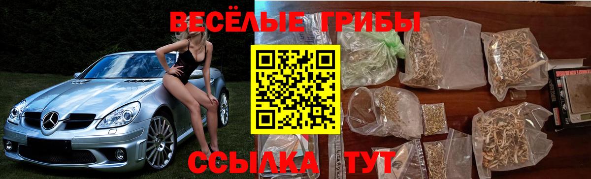 Псилоцибиновые грибы прущие грибы Шарыпово